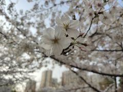 -白塘生态植物园