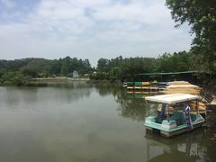-南沙蒲洲花园