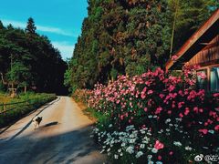 -重庆雨台山风景区