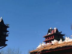 -西安秦岭野生动物园