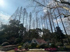 -徐家汇源景区-衡山公园