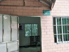 -彩虹桥宠物火化殡葬善终服务(金乐大厦店)