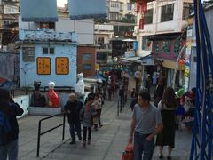 -猫咪博物馆(顶澳仔猫街店)