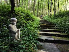 -武陵山森林公园