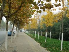 android_upload_pic-生态公园