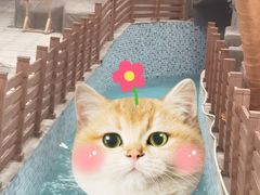 -南宫温泉水世界