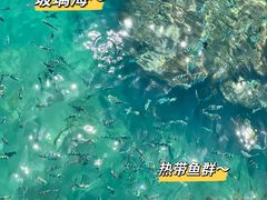 -三亚西岛海洋文化旅游区