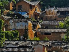 -杨家堂村