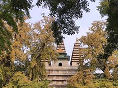 -北京石刻艺术博物馆(五塔寺)