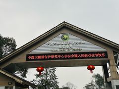 -中国大熊猫保护研究中心雅安碧峰峡基地