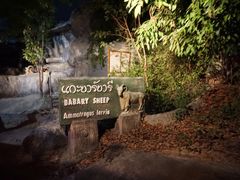 -清迈夜间动物园