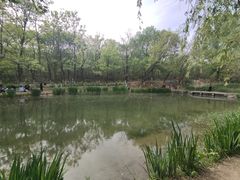 -云岗森林公园