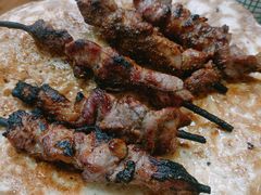 -艾力江和田馕坑烤肉店