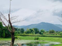 -雅达·阳羡溪山小镇中心