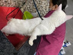 -宠颐生嘉德动物医院