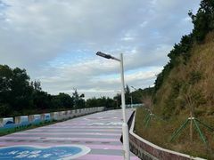 -东澳岛