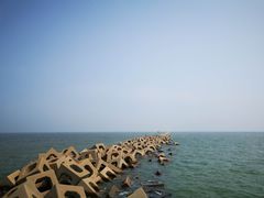 -东疆建设开发纪念公园