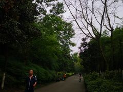 -重庆彩云湖湿地公园