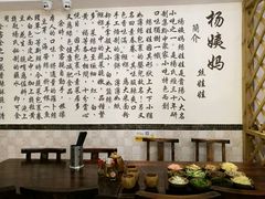 -杨姨妈丝娃娃(花果园店)