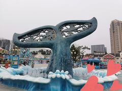 -海合安成都极地海洋公园