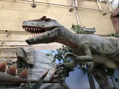 -国家自然博物馆