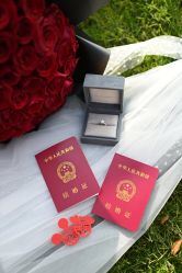 -VE DIAMOND·天然&培育钻石定制