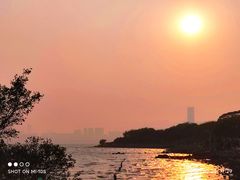 -深圳湾公园(南山区)