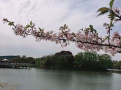 -新江湾城公园