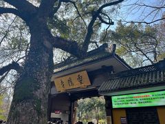 -南宋胡记(杭州灵隐寺店)