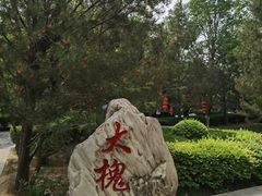 -大槐树寻根祭祖园