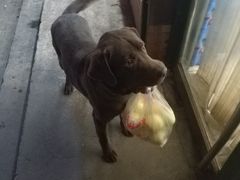 -集品无忧批发部(塔湾店)