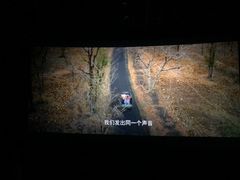 -紫东世纪影城(全景声.巨幕影院)