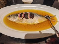 -老吉堂上海本帮菜(望京万象汇店)