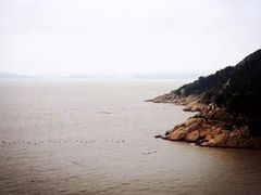 -北岐滩涂