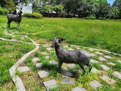 -北京麋鹿生态实验中心