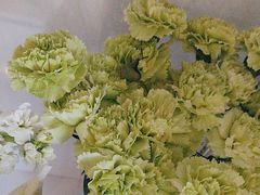 -北边的花店(泛悦城市广场店)