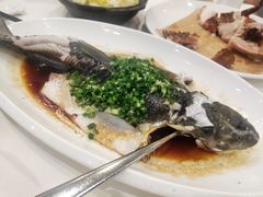 -东方御宴海鲜酒楼(棕泉酒店)