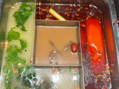 -鼎膳常火锅(华阳店)