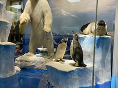 -国家自然博物馆