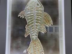 -贝壳王国博物馆