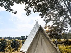 -安德鲁户外烧烤帐篷营地(马泉营店)