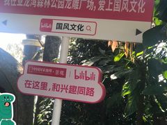 -亚龙湾热带天堂森林公园