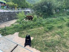 -无锡动物园·太湖欢乐园