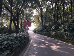 -上海市保健医疗中心