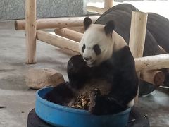 -西安秦岭野生动物园