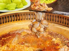 -红运火锅·中国名火锅·国风演绎(省体店)
