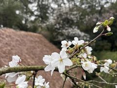 -中国茶叶博物馆(双峰馆区)