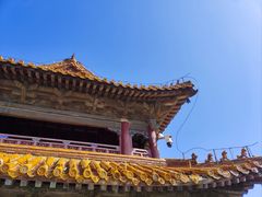-北陵公园