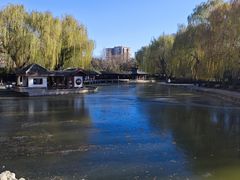 -团结湖公园