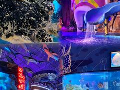 -烟台海昌鲸鲨海洋公园
